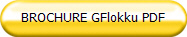 BROCHURE GFlokku PDF